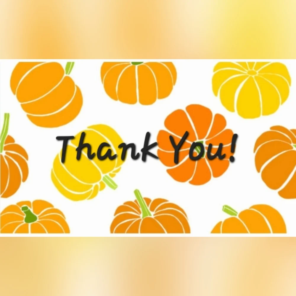 Harvest Pumpkin 50 Count Business 
